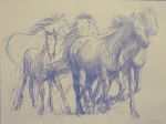 Konie w galopie 1, rysunek